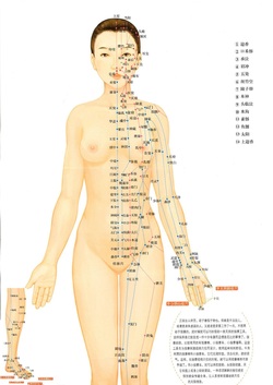 Energy lines and acupunture points on woman